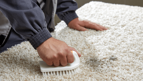 Professional Rug Cleaning Eden Park