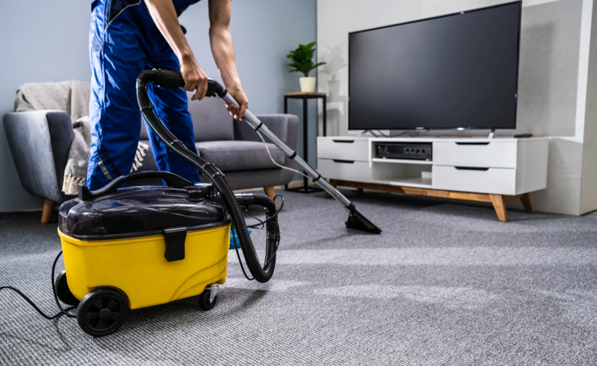 Extract Rug Cleaning Eden Park Contact Office